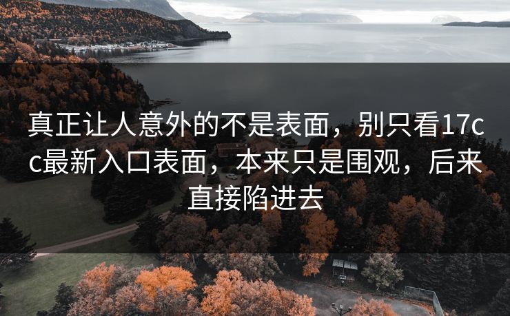 真正让人意外的不是表面，别只看17cc最新入口表面，本来只是围观，后来直接陷进去