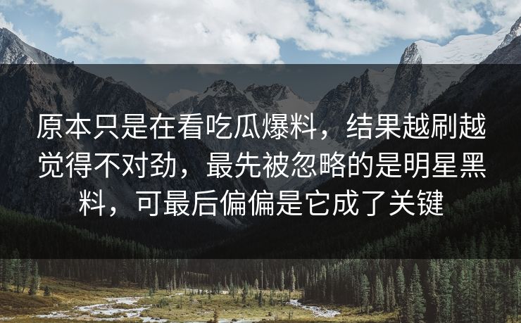 原本只是在看吃瓜爆料，结果越刷越觉得不对劲，最先被忽略的是明星黑料，可最后偏偏是它成了关键