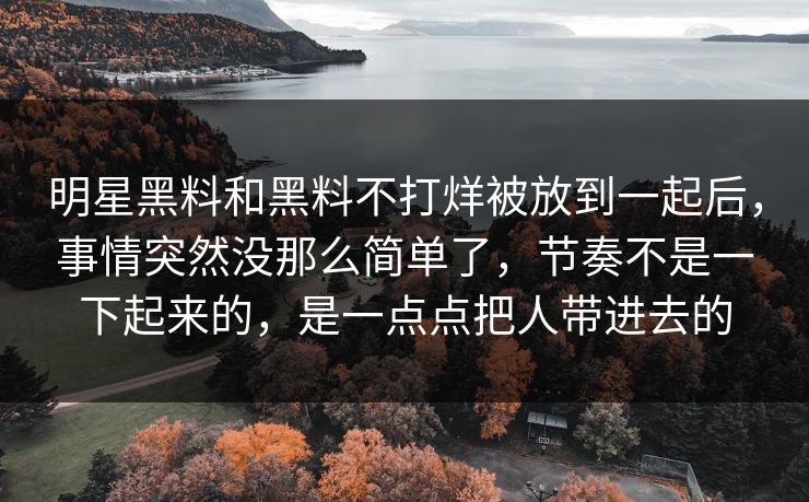 明星黑料和黑料不打烊被放到一起后，事情突然没那么简单了，节奏不是一下起来的，是一点点把人带进去的