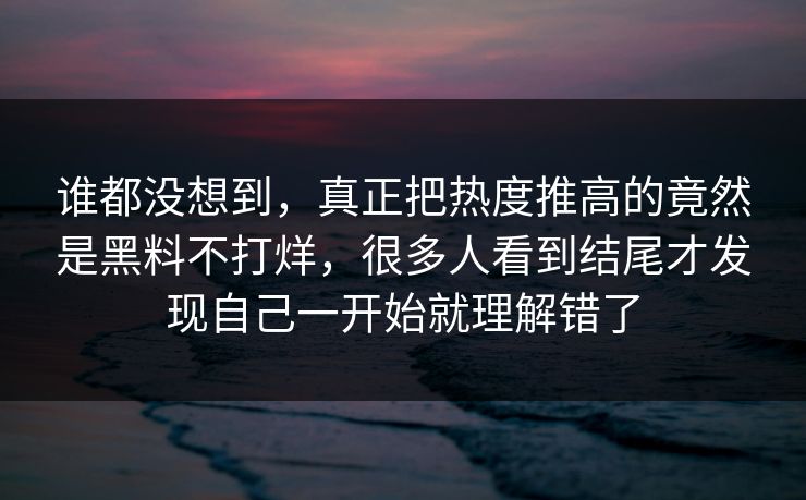 谁都没想到，真正把热度推高的竟然是黑料不打烊，很多人看到结尾才发现自己一开始就理解错了
