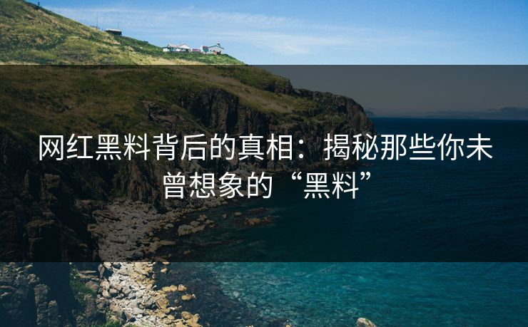 网红黑料背后的真相:揭秘那些你未曾想象的“黑料” 网红黑料背后的真相:揭秘那些你未曾想象的“黑料”