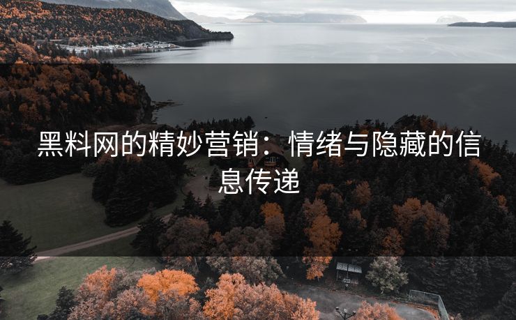 黑料网的精妙营销：情绪与隐藏的信息传递