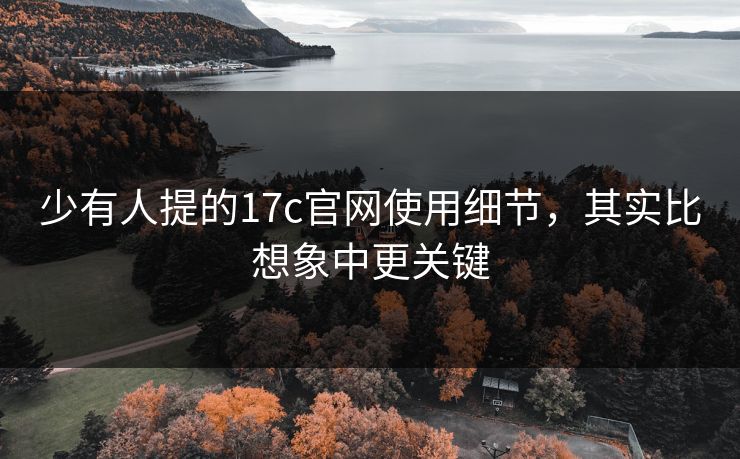 少有人提的17c官网使用细节，其实比想象中更关键