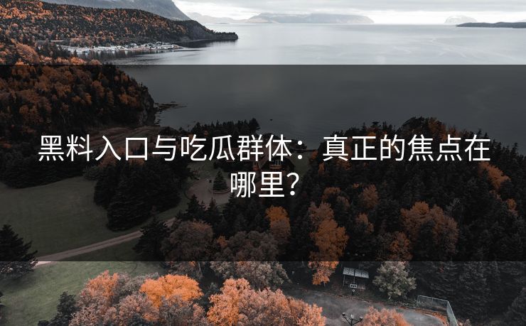 黑料入口与吃瓜群体：真正的焦点在哪里？